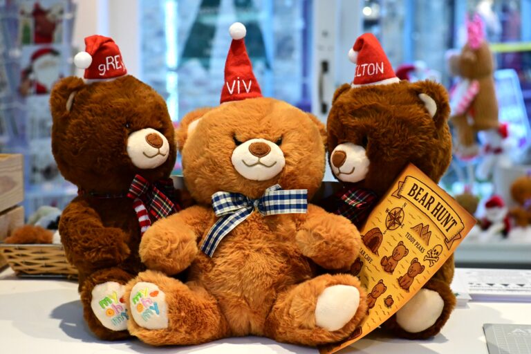 Corbridge Runs Its First-Ever Festive Bear Hunt!